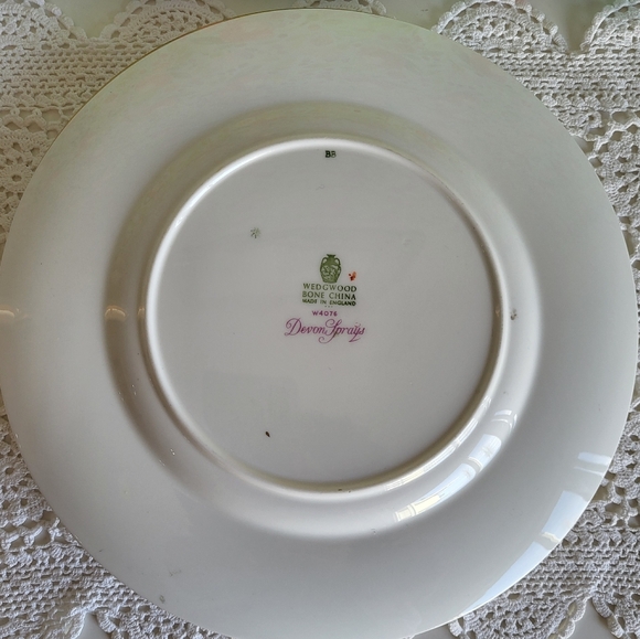 Pair of Wedgewood Devon Sprays Dinner Plates - Picture 4 of 5